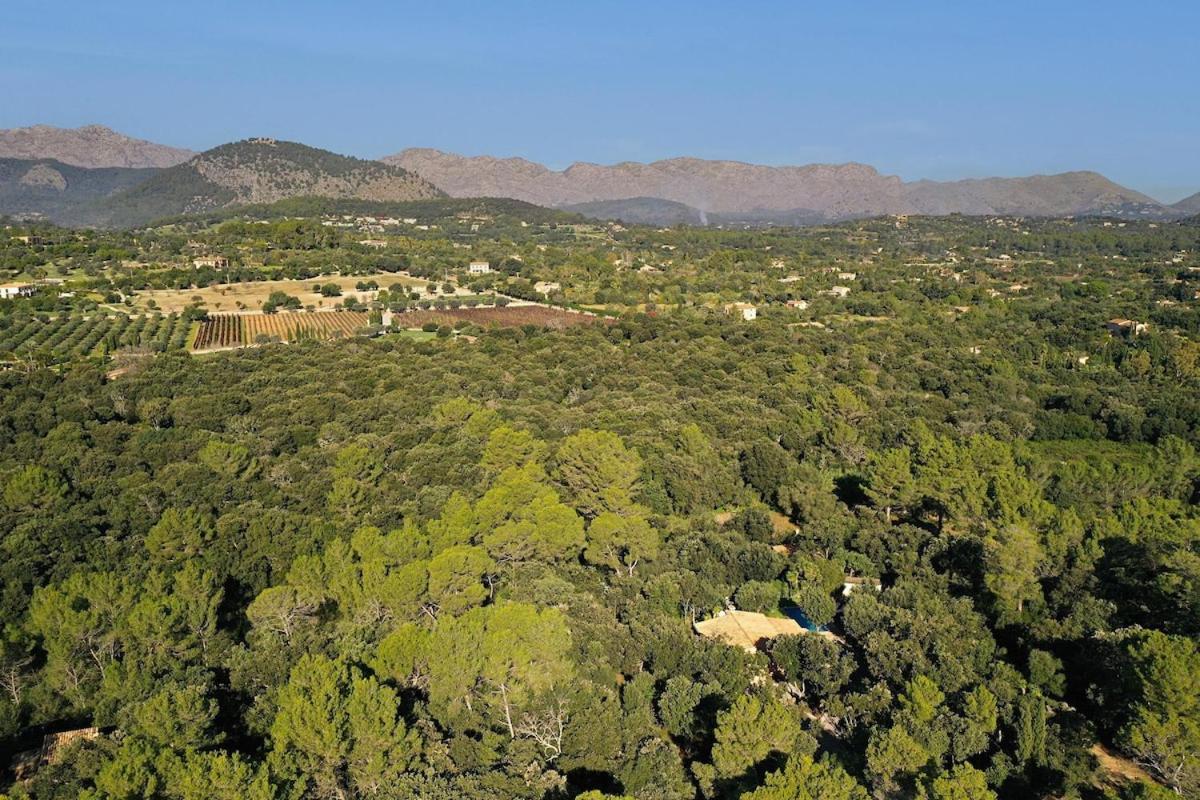 Ferienhaus Quiet And Wooded Area Of The Mallorcan Countryside By Renthousing Pollença